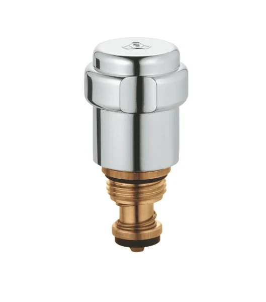 Grohe WSS tete - chromé