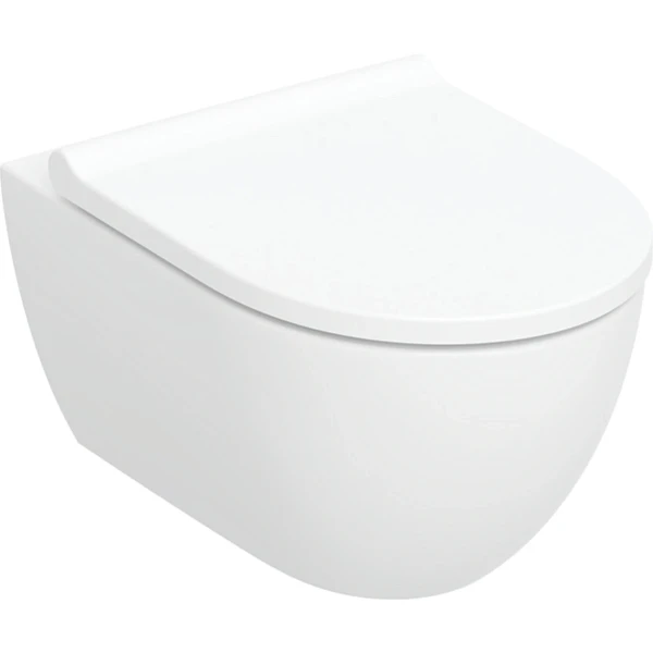 Geberit Acanto pack cuvette suspendue turboflush 530 x 355 mm (cuvette suspendue avec abbatent asym.ount) - blanc