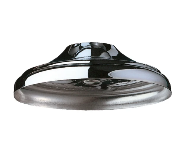 DELABIE Pomme de douche suspendue F1/2" à galerie chromée Ø80