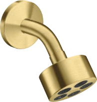 AX One douche tête 75 1j bras douche brushed brass