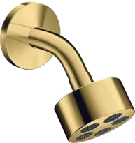 AX One douche tête 75 1j bras douche polished gold optic