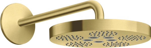 AX One douche tête 280 1j bras douche brushed brass