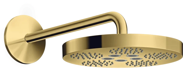AX One douche tête 280 1j bras douche polished gold optic