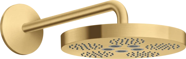 AX One douche tête 280 1j bras douche brushed gold