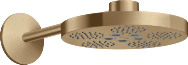 AX One douche tête 280 2j bras douche brushed bronze