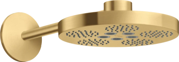 AX One douche tête 280 2j bras douche brushed gold