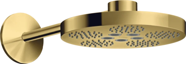 AX One douche tête 280 2j bras douche polished gold optic
