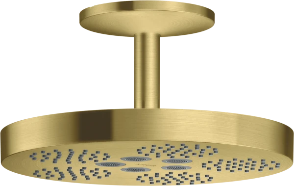 AX One douche tête 280 1j racc.plaf. brushed brass