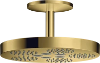 AX One douche tête 280 1j racc.plaf. polished gold optic