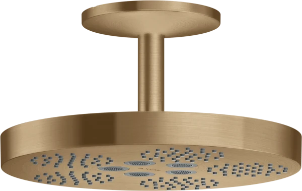 AX One douche tête 280 1j racc.plaf. brushed bronze