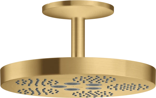 AX One douche tête 280 1j racc.plaf. brushed gold