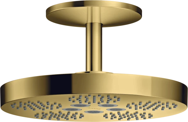 AX One douche tête 280 2j racc.plaf. polished gold optic
