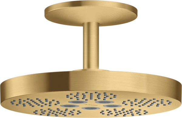 AX One douche tête 280 2j racc.plaf. brushed gold