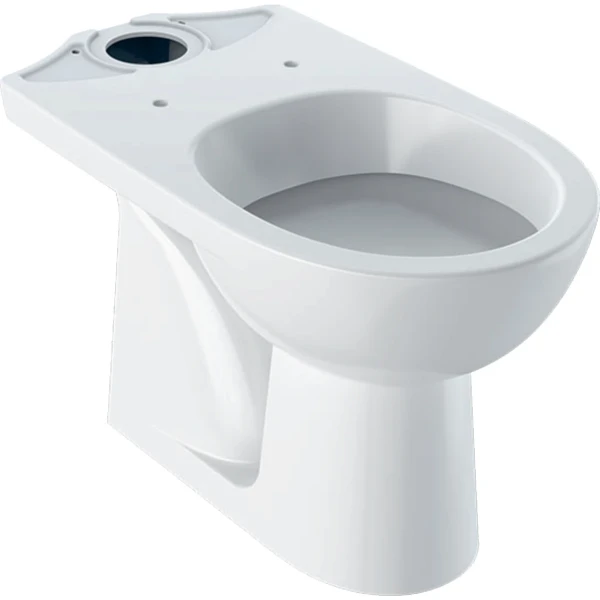 Geberit Selnova cuvette à poser sortie AO - blanc - à fond creux (sans réservoir)
