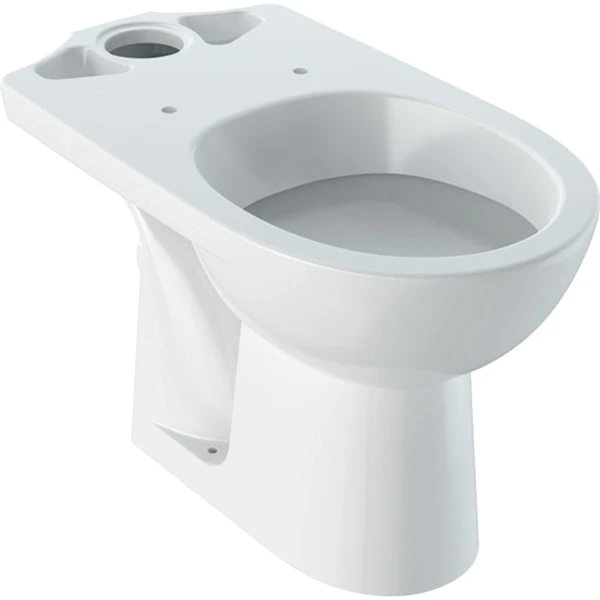 Geberit Selnova cuvette à poser sortie PK - blanc - à fond creux (sans réservoir)