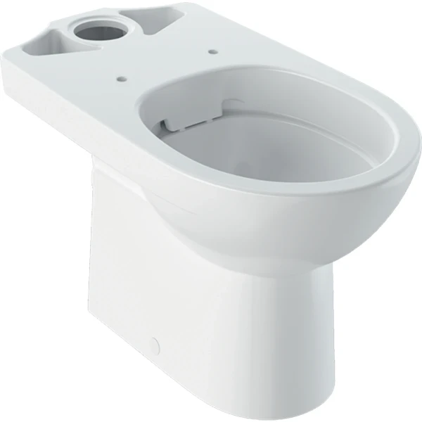 Geberit Selnova staand toilet Rimfree uitgang PK zonder spoelrand - wit - diepspoel - gedeeltelijk gesloten vorm (zonder spoelreservoir)