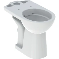 Geberit Selnova Comfort cuvette à poser rehaussée Rimfree sortie PK sans bride - blanc - à fond creux (sans réservoir)