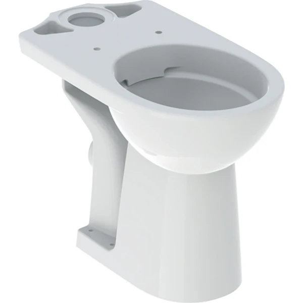 Geberit Selnova Comfort cuvette à poser rehaussée Rimfree sortie PK sans bride - blanc - à fond creux (sans réservoir)