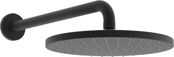 Hansa Hansaviva regendouche 250 mm - wandmodel - zwart mat