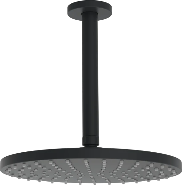 Hansa Hansaviva rain shower, d 250 mm - noit mat
