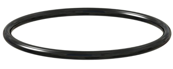 Watts O-ring voor Tigerloop Combi
