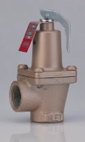 WATTS Soupape de sécurité sanitaire 174A 2" FF 7 bar
