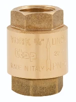 WATTS Clapet York universel VRY 65 2 1/2" FF