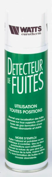 WATTS Détecteur de fuite de gaz  DFG 400