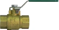 WATTS IVR 100 ELITE GW 4MS "KIWA" 1" F