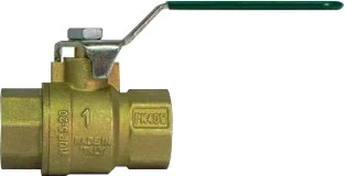 WATTS IVR 100 ELITE GW 4MS "KIWA" 1" F