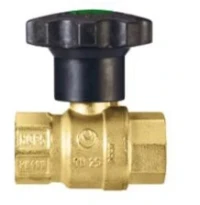 WATTS IVR 100 ELITE GW 4MS "KIWA" 1"1/4 F