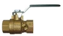 WATTS IVR 208 ELITE GW 4MS "KIWA" 1"