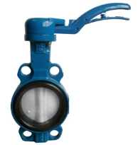 WATTS VANNE PAPILLON SYLAX WAFER DN100 GGG40-EPDM-INOX-COURT