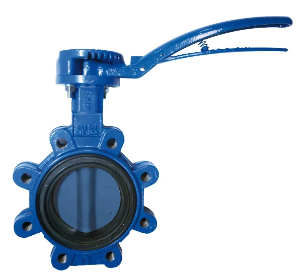 WATTS VANNE PAPILLON SYLAX LUG DN80 GGG40-EPDM-INOX