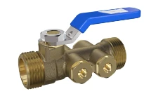 WATTS TBE-EA 3/4"BuxBu