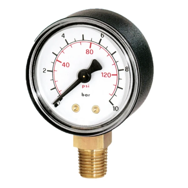 Watts ABS manometer/radiaal FR200 DN63 0-10bar