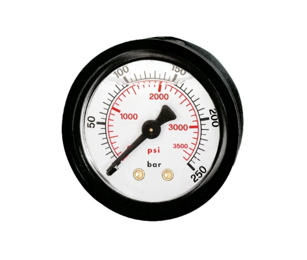 WATTS Manom.ABS glyc/axial FR104 DN63 0-10bar