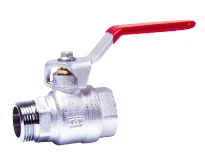 WATTS Vanne à bille F343 1/4" MF poignée standard