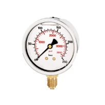 WATTS Manom.inox glyc/radial FR214 DN63 0-2,5b