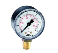 WATTS Manomètre-23-A-1/4"-0/16B 70°C laiton