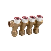 Giacomini set.coll.r585c 3/4"mf x 1/2"e + adatt.r1 - 2 circuits