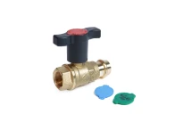 Giacomini  R854VT Vanne sphère Integral Cu/Inox/Acier Fxras 1/2"F X TR15