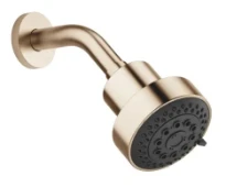 Dornbracht Universal douche de tête - or clair brossé