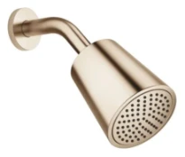 Dornbracht Universal douche de tête - or clair brossé