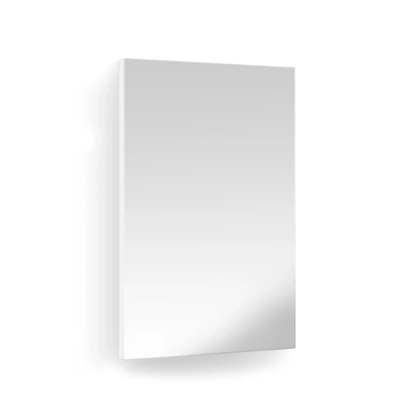 Procasa Thiny spiegelpaneel 400 x 700 mm - alu kader