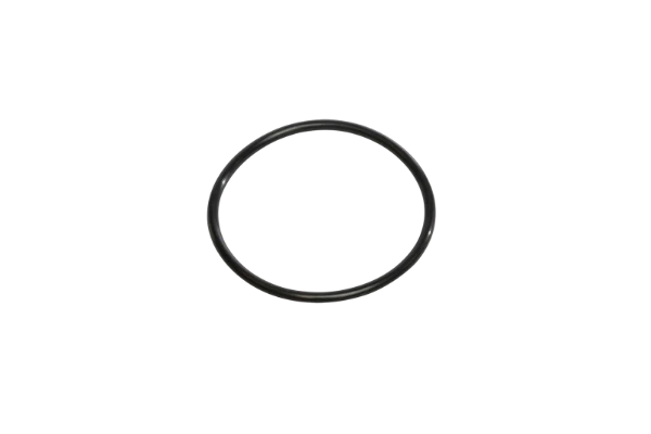 Cintropur WSS O-ring voor filterklok voor NW280-NW340-NW400