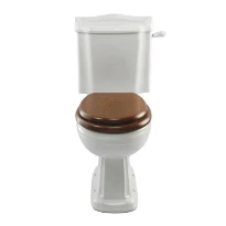 Aqua Prestige Balasani toilette sorti H - blanc