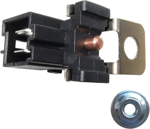 Bosch WSS sonde température