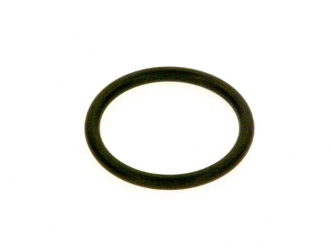 Bosch O-ring (2x)