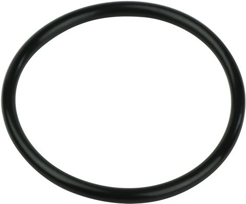 Bosch O-ring 73x5
